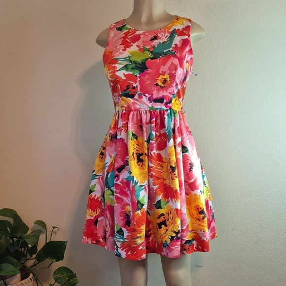 Eliza J Blush and Cream Dress - Picture 1 of 5
